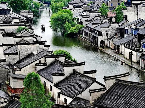 “最美”何以十二载心心相传